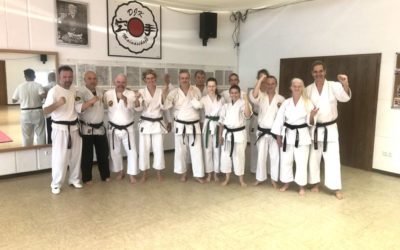 Sommerfest Karate DJK Mainaschaff